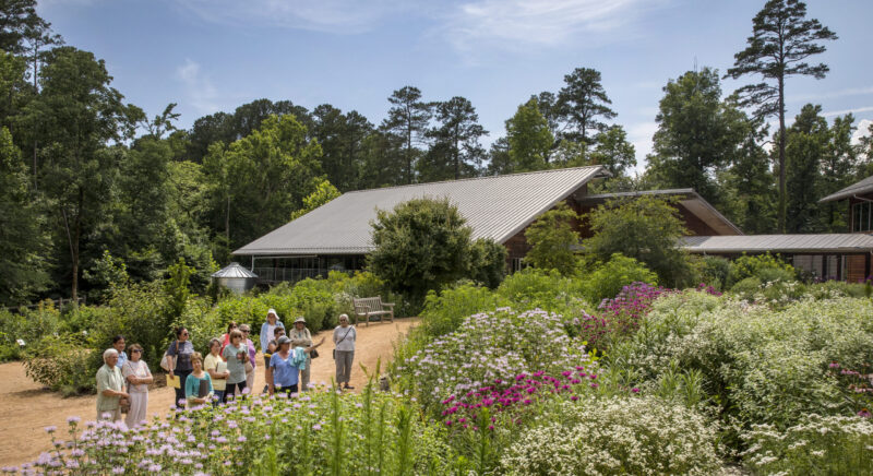 A group of people walking at the NC Botanical Gardens on a sunny day.