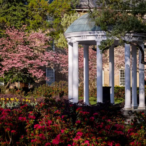 The Old Well surrounded by trees and flowers.