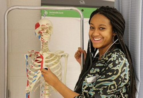 Student with a skeleton learning vascular anatomy
