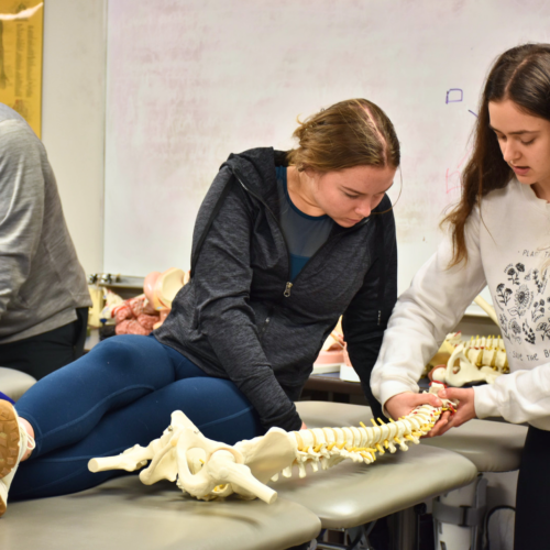 Two students looking at a skeleton.