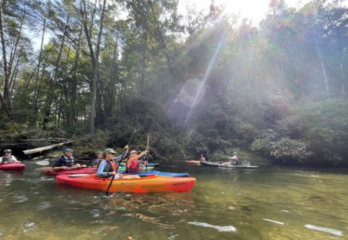 A group of individuals kayaking on a sunny day.