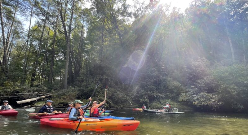 A group of individuals kayaking on a sunny day.
