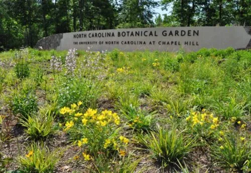 flowers and sign outside nc botantical gardens
