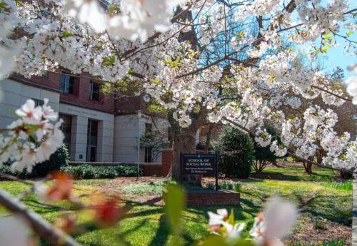 School of Social Work building with floral trees surrounding the building.