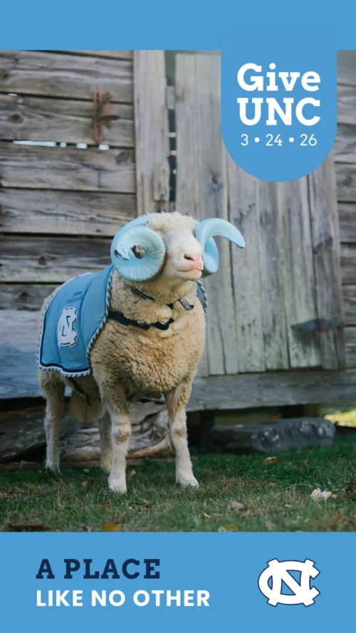 Text: A Place Like No Other Image: Otis in his Carolina gear